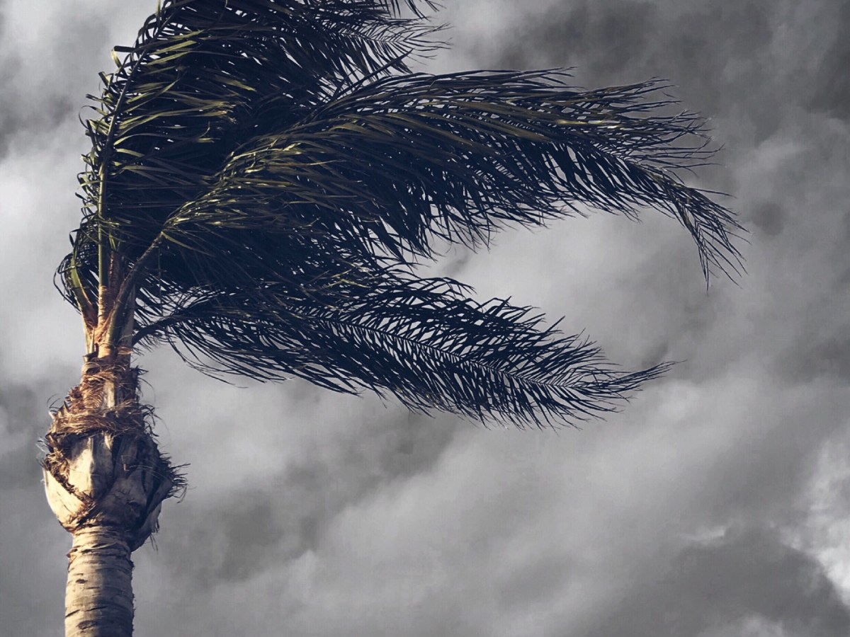 العقود المباحة وحدها لا يقوم بها إلا دين&nbsp;ضعيف